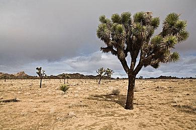 雅达利经典登月游戏重置版《超越登月者》现已在Steam平台正式发售