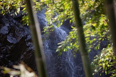 《终结者：幸存者》基于UE5打造 只有PvE内容